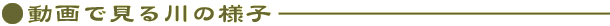 Ō̗lq