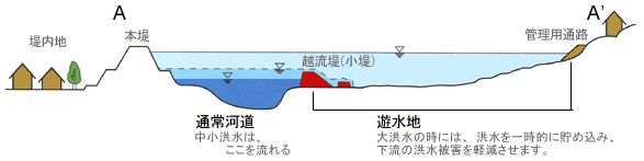 遊水地断面
