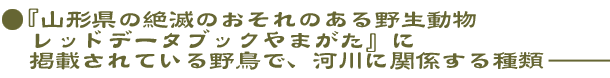 『山形県の絶滅のおそれのある野生動物　レッドデータブックやまがた』に掲載されている野鳥で、河川に関係する種類