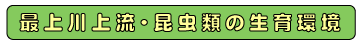 最上川上流・昆虫類の生息環境