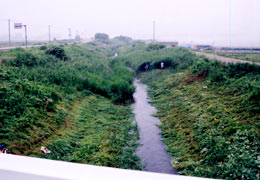 写真：地区内の河川での草刈の様子