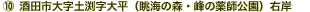 csy啽iC̐XE̖tjE