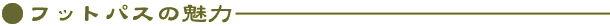 tbgpX̖