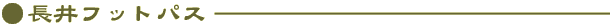 tbgpX