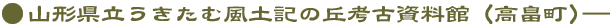 R`ޕyL̋ulÎفij