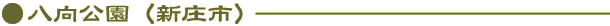 iVsj