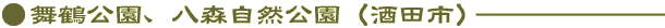ߌAXRicsj
