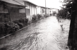 桜町地内　住宅地の中を激流と化して流れる濁流