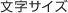文字サイズ