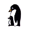 yMeq