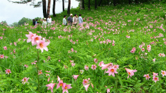 高清水自然公園