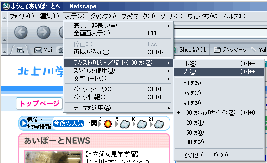Netscapeの画面