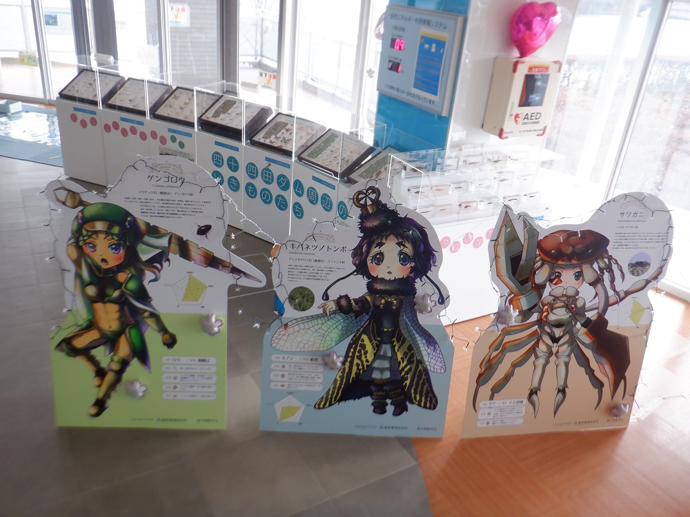 ダム周辺に生息する昆虫や魚などの剥製・その生き物を擬人化したキャラクターのパネルを展示しています