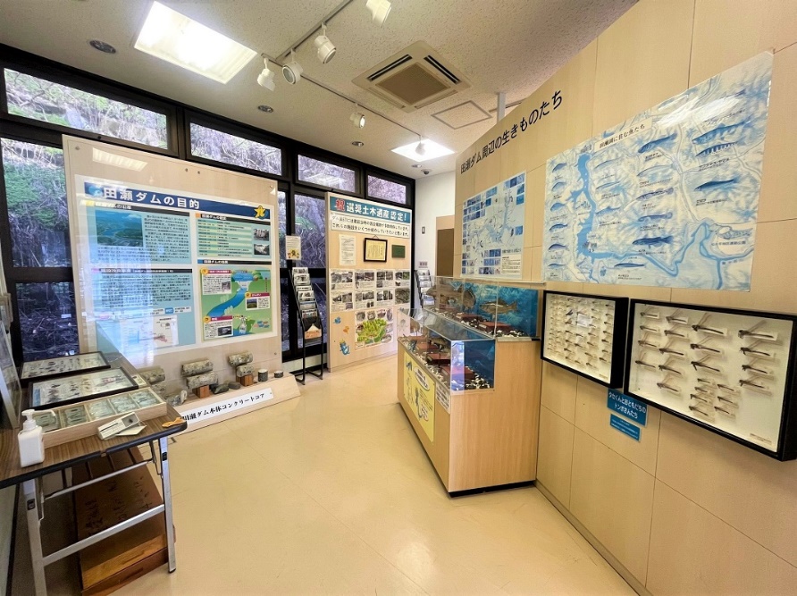 田瀬湖に生息する魚の剥製や昆虫標本、土木遺産認定に関する認定書などが展示されている。