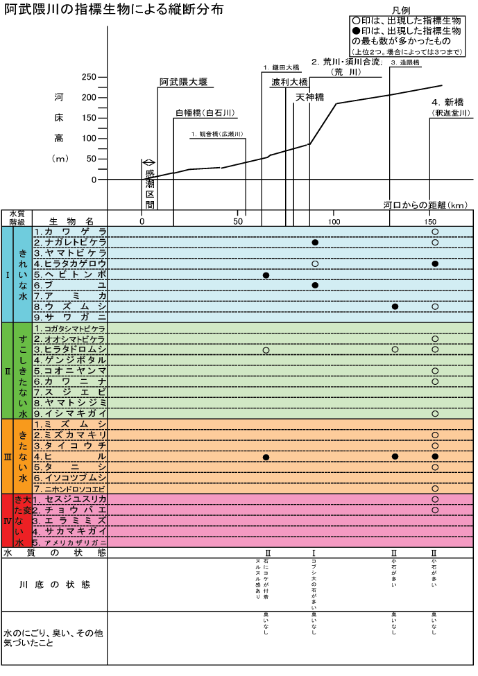 指標生物による縦断調査