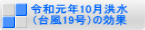 令和元年10月洪水（台風19号）の効果