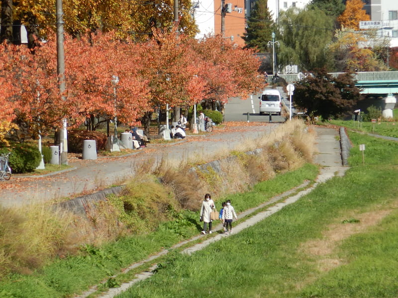 散策路