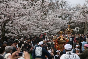 鶴ヶ城さくら祭り