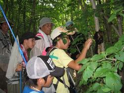 さくら湖自然教室2012