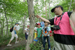 向山森林公園の山をのぼり、いざ昆虫探しへ！どんな昆虫が見つけられたかな？<br />かぶとむしやクワガタなど人気の昆虫が見つかると歓声をあげて喜んでいました。