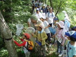 三春ダム管理所の向かいにある向山森林公園でカブトムシやクワガタを探しながら探検しました。<br />木に仕掛けたトラップにどんな虫が集まっているかワクワク期待しながら山の小径を進んで行きました。<br />子供たちは虫かごに何匹もカブトムシやクワガタなどの昆虫を入れて、ニコニコ顔で虫かごを覗いたり、手にとって虫の大きさを自慢しあったりしていました。