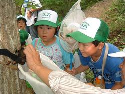 三春ダム管理所　近くの　向山森林公園で昆虫観察を行いました。<br />虫捕り網・カゴを持って、どんな虫がいるのかワクワクしながら、お父さん・お母さんと散策しました。<br />インストラクターの先生からは、カブトムシやクワガタの好きな木の種類やトラップの作り方を教えていただきました。