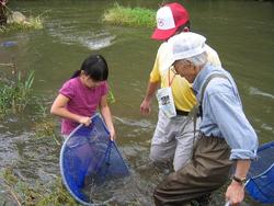 水生生物観察コースには、１６家族　３４名のみなさんが参加しました。<br />当日は川の水位が高く心配しましたが子供たちは腰まで水に入り<br />魚や水生昆虫を探していました。<br />生き物を見つけるたびに、インストラクターに説明を受け<br />子供だけでなく、お父さん、お母さんも楽しんでいました。