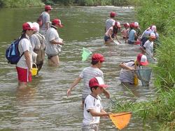 三春ダムに流れて来る大滝根川（柴原）に住む、水生生物を観察しました。<br />腰まで水につかり、川岸の水草の下の方に網を置き足でワサワサと網の方にたぐり寄せていきました。<br />ドジョウやオイカワ、タロモコなどの魚のほかにコオイムシやコオニヤンマなど多くの生物を捕まえることができました。<br />最後にインストラクターの先生から、魚やヤゴの飼い方やそれぞれの特徴を教えていただきました。<br />川にはたくさんの生き物が住んでいます。川を汚さないように気をつけようね！