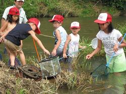 三春ダムに流れて来る大滝根川（柴原）に住む、水生生物を観察しました。<br />腰まで水につかり、川岸の水草の下の方に網を置き足でワサワサと網の方にたぐり寄せていきました。<br />ドジョウやオイカワ、タロモコなどの魚のほかにコオイムシやコオニヤンマなど多くの生物を捕まえることができました。<br />最後にインストラクターの先生から、魚やヤゴの飼い方やそれぞれの特徴を教えていただきました。<br />川にはたくさんの生き物が住んでいます。川を汚さないように気をつけようね！