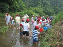 三春ダムに流れて来る大滝根川（柴原）に住む、水生生物を観察しました。<br />腰まで水につかり、川岸の水草の下の方に網を置き足でワサワサと網の方にたぐり寄せていきました。<br />ドジョウやオイカワ、タロモコなどの魚のほかにコオイムシやコオニヤンマなど多くの生物を捕まえることができました。<br />最後にインストラクターの先生から、魚やヤゴの飼い方やそれぞれの特徴を教えていただきました。<br />川にはたくさんの生き物が住んでいます。川を汚さないように気をつけようね！