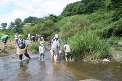 三春ダムの本川（大滝根川）に住む水生生物を観察しました。<br />子供たちは網を持って、水草や石の間をガサガサと足で誘き寄せていました。<br />時折、オイカワが群れになって足元を泳いでいく姿を見ることが出来ました。<br />ヤゴやシジミ、ドジョウやブラックバスの稚魚などたくさんの水生生物が見られました。<br />漁協の協力で投網も投げていただきました。オイカワやハヤの他に50cm以上のニゴイも網に掛かり子供たちは驚いていました。<br />最後に大滝根川に住んでいる水生生物の特徴や今日捕った魚やヤゴなどの飼い方などをインストラクターの先生から教えていただきました。