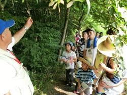 いろいろな植物を観察しながら歩き、三春の里田園生活館の駐車場でクラフト工作をしました。<br />葉っぱで船やお面などを作りました。その後、石畑水生生物観察園まで行き、笹舟を流したり、水生生物を観察しました。