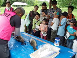 ザリガニどこにいるのかな？？<br />水の中には、生き物がいっぱい！！<br /><br />バスの解剖も行いました！<br /><br />聴診器を使って、植物の中の水の通る音も聞きました！<br />