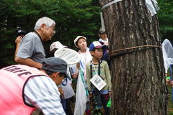 向山公園へたくさんの昆虫を探しに出かけました！<br /><br />今年は残念ながら、カブトムシは少なかったようです。<br />お土産のカブトムシ大切にしてね。