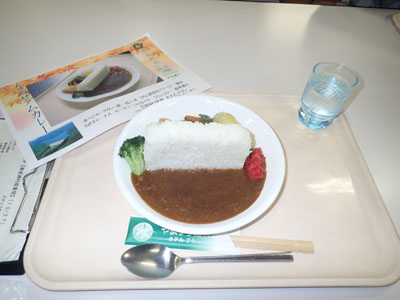 成瀬ダムカレー