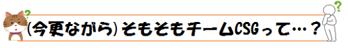 チームＣＳＧとは