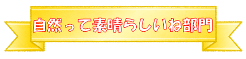 自然って素晴らしい部門