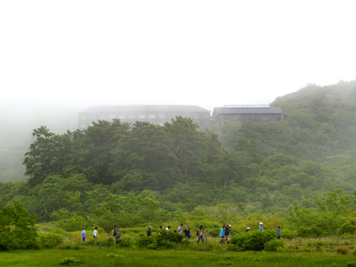 栗駒山荘下の湿原