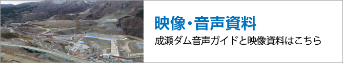 映像・音声資料