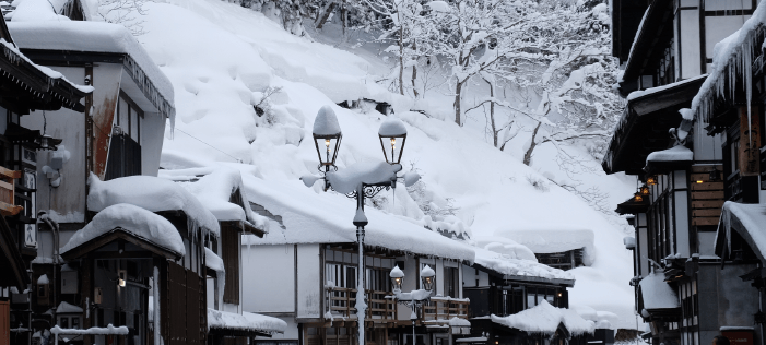 山形雪情報システム