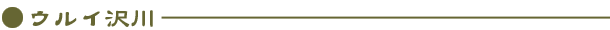 ECiECUKj