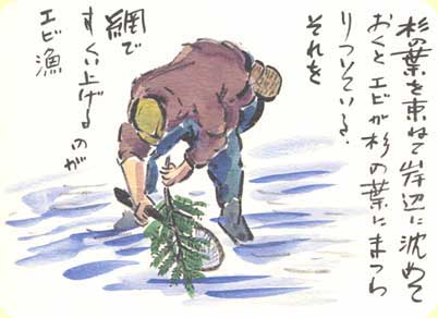 イメージ：エビ漁
