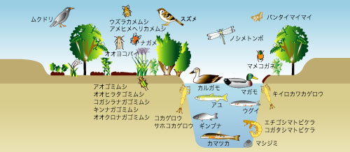 u썇n_Ō铮A