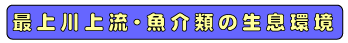 ŏ㗬Eނ̐
