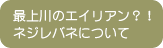 最上川のエイリアン？！　ネジレバネについて