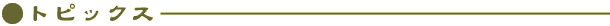 gsbNX