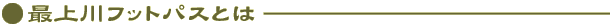 ŏtbgpXƂ