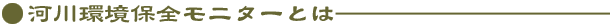 ͐ۑSj^[Ƃ