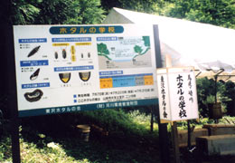 写真:山形市宝沢地区にある東沢ゲンジボタル保護地