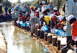 写真:窪田水辺の学校での稚魚の放流